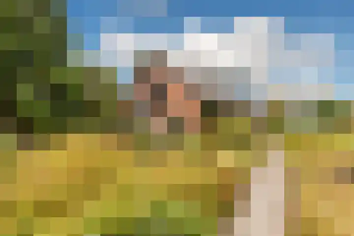 Wilhelminalaan 16 Vleuten thumbnail 33
