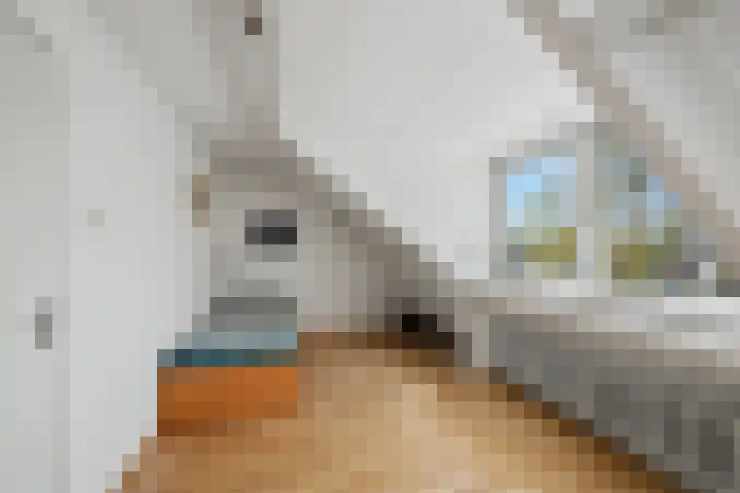 Wilhelminalaan 17 Bennekom thumbnail 30