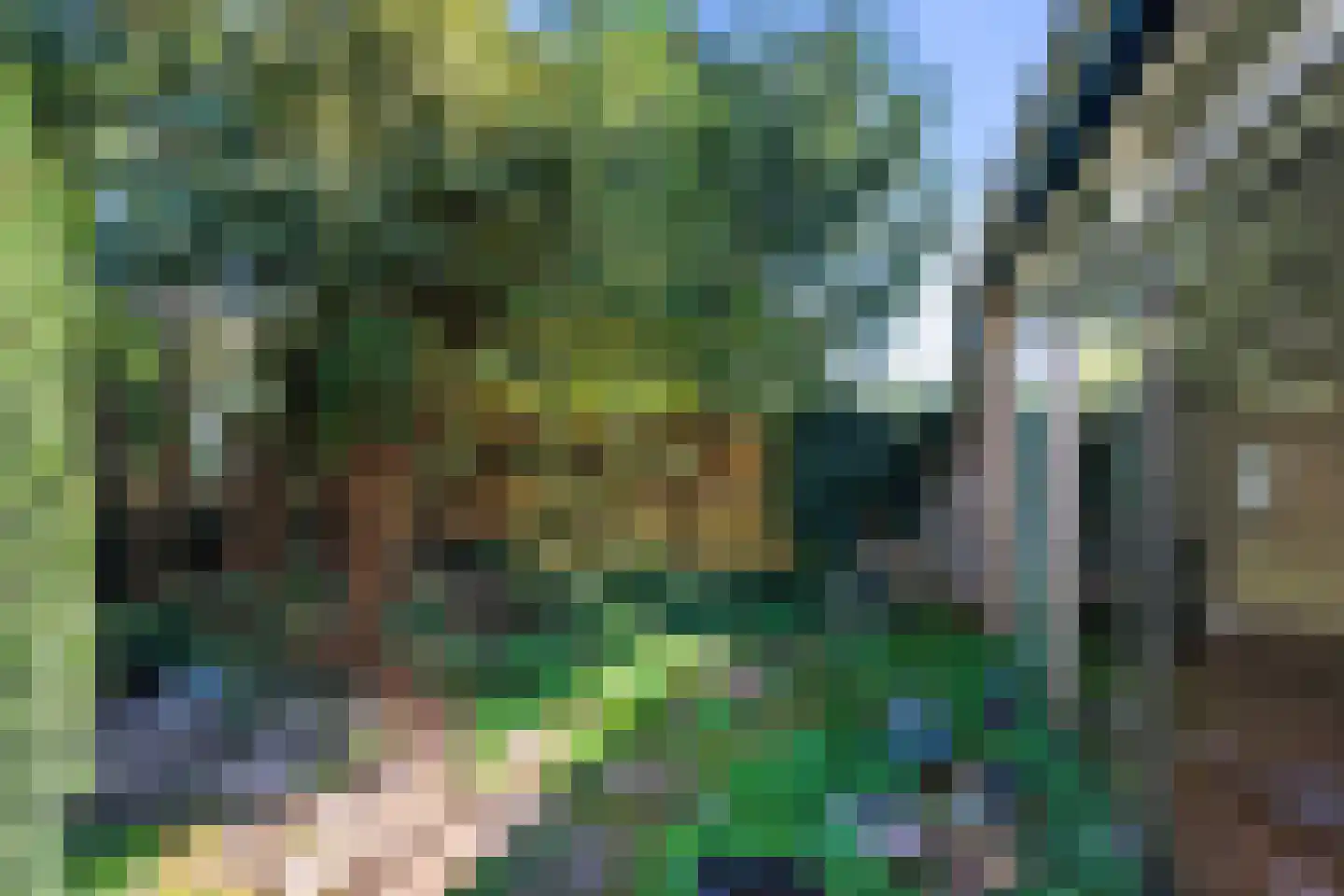 Wilhelminalaan 17 Bennekom thumbnail 39