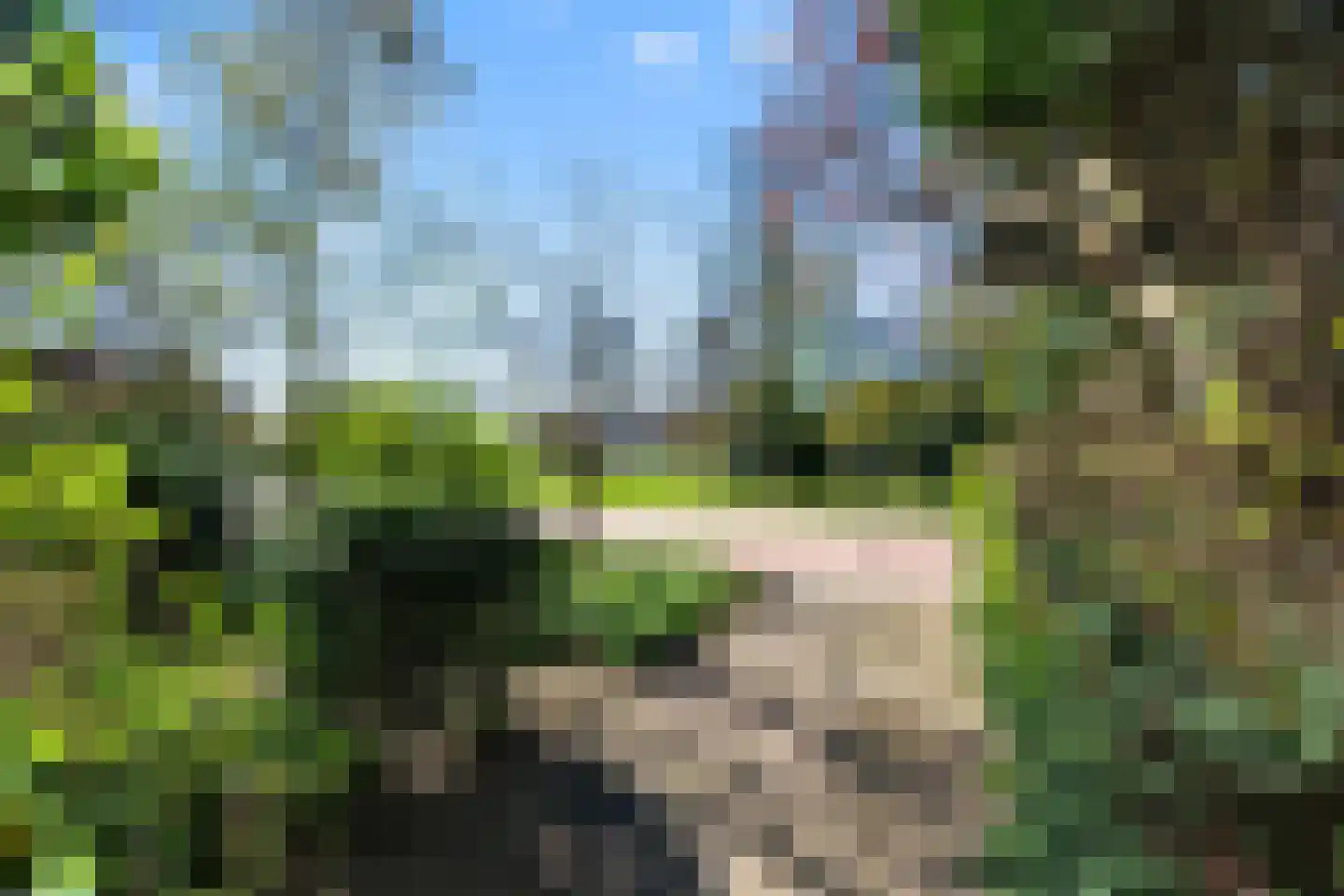 Wilhelminalaan 17 Bennekom thumbnail 40