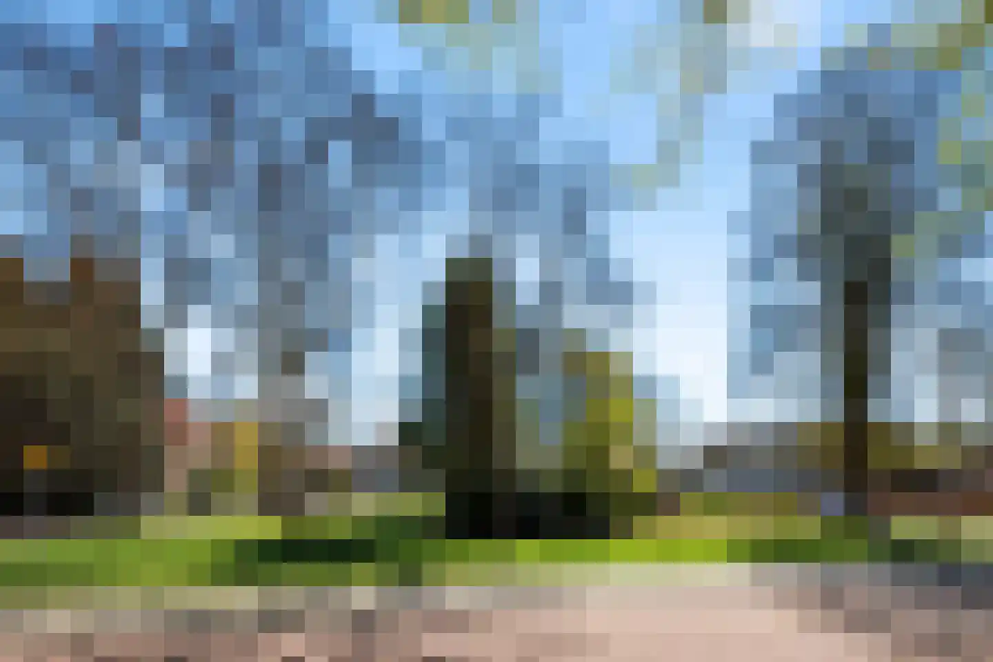 Wilhelminalaan 17 Bennekom thumbnail 41