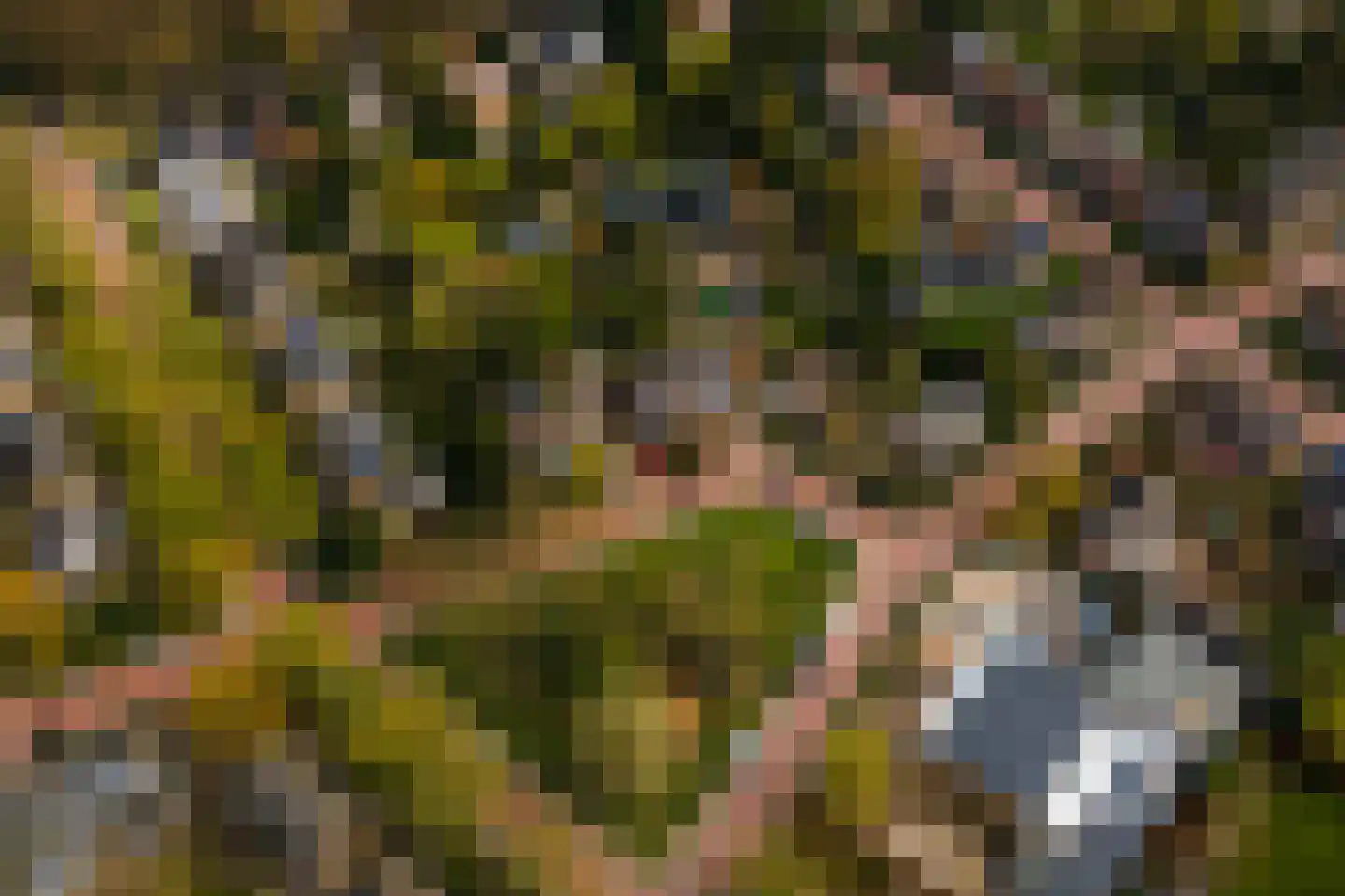 Wilhelminalaan 17 Bennekom thumbnail 43