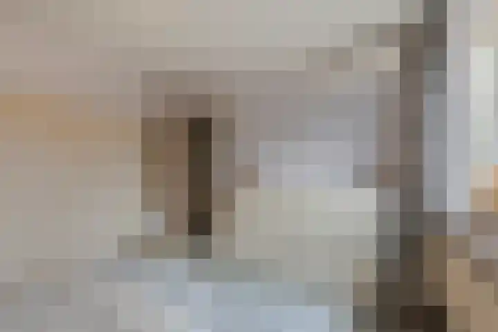 Wilhelminalaan 17 Giessenburg thumbnail 23