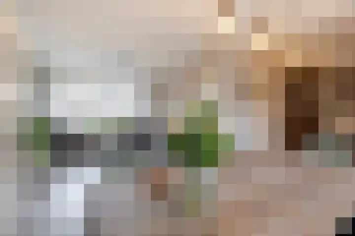 Wilhelminalaan 17 Giessenburg thumbnail 8