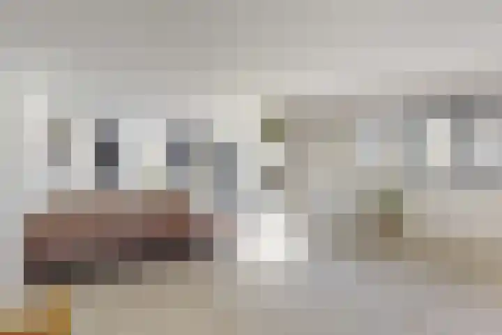 Wilhelminalaan 17 Grevenbicht thumbnail 10