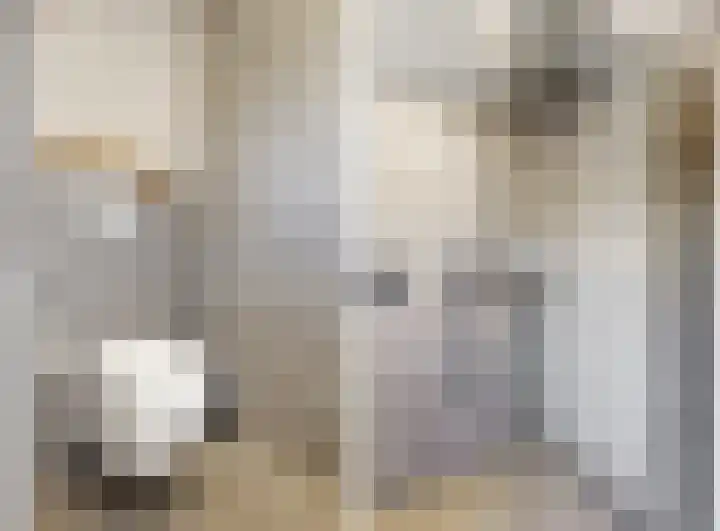 Wilhelminalaan 17 Grevenbicht thumbnail 18
