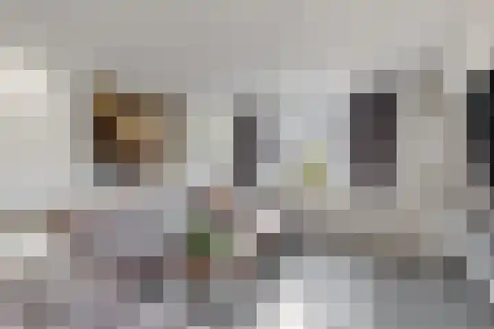 Wilhelminalaan 17 Grevenbicht thumbnail 7