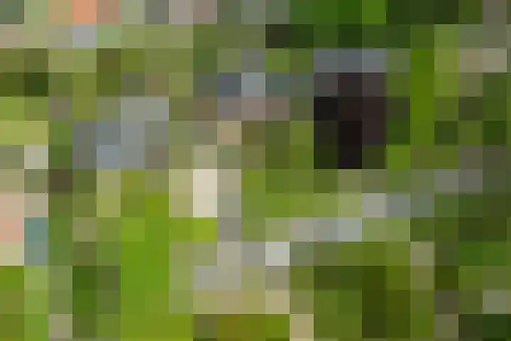 Wilhelminalaan 17 Haren Gn thumbnail 4