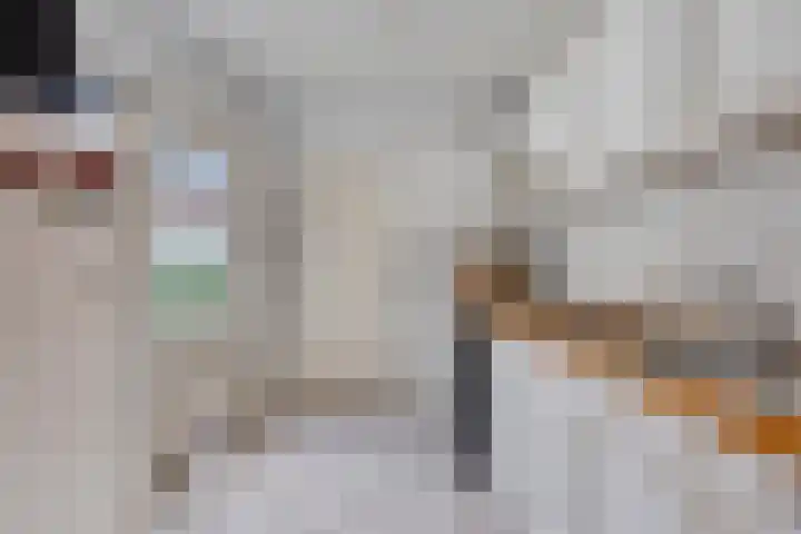Wilhelminalaan 17 Sas van Gent thumbnail 13