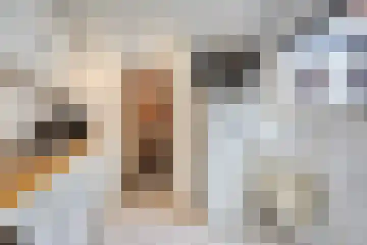 Wilhelminalaan 17 Sas van Gent thumbnail 14
