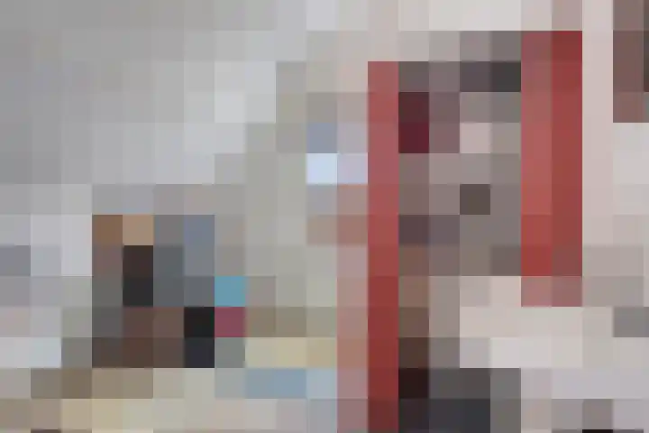 Wilhelminalaan 17 Sas van Gent thumbnail 18