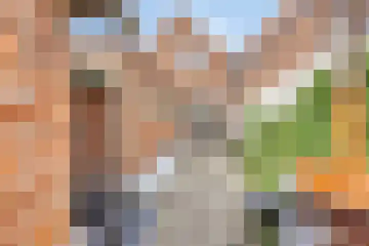 Wilhelminalaan 17 Sas van Gent thumbnail 21