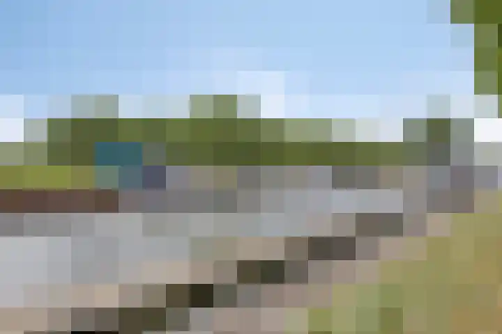 Wilhelminalaan 17 Sas van Gent thumbnail 25