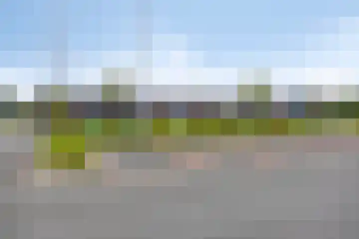 Wilhelminalaan 17 Sas van Gent thumbnail 27
