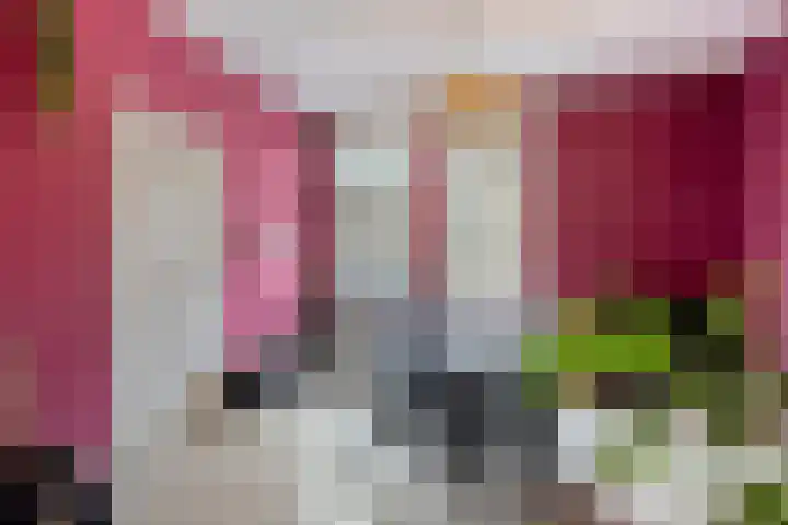 Wilhelminalaan 17 Sas van Gent thumbnail 4