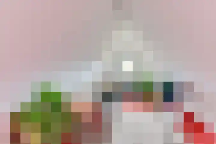 Wilhelminalaan 19 Alkmaar thumbnail 30