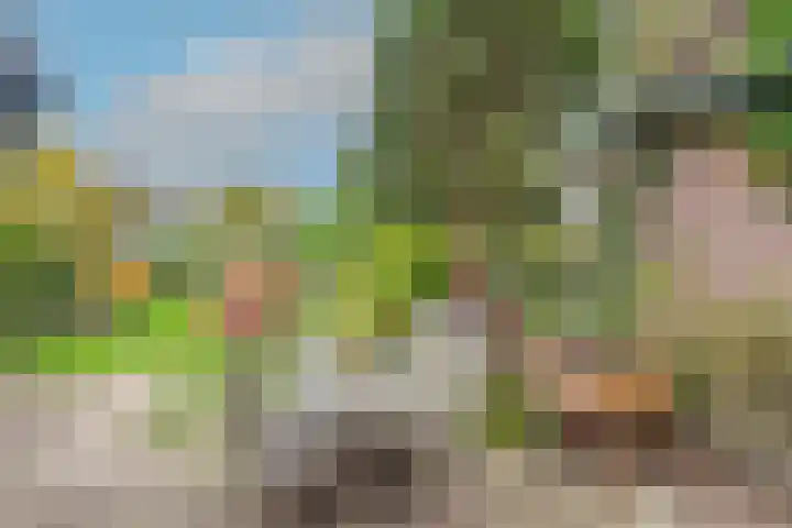 Wilhelminalaan 19 Alkmaar thumbnail 32