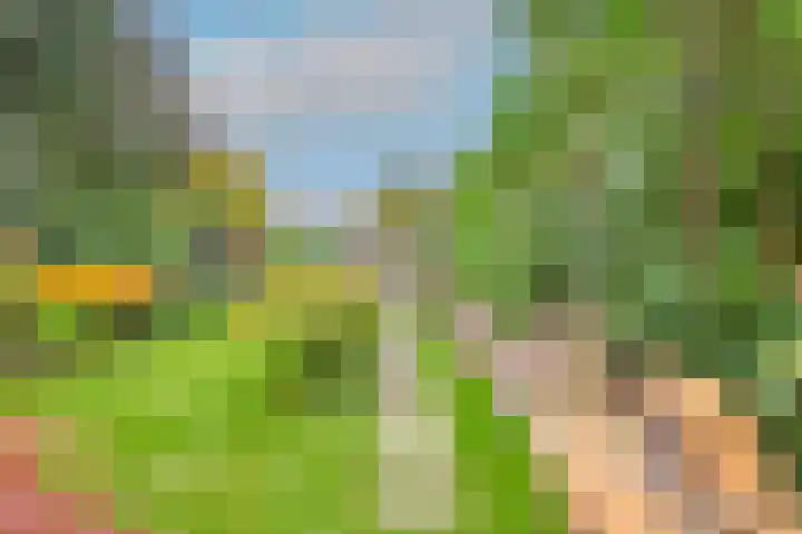 Wilhelminalaan 19 Alkmaar thumbnail 33