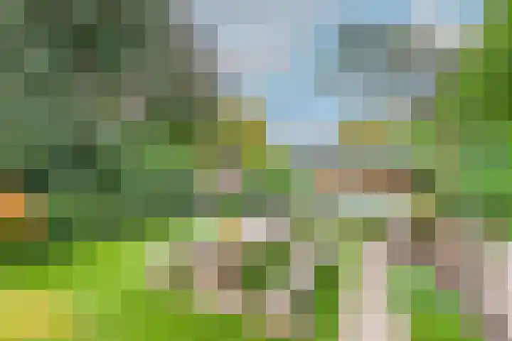 Wilhelminalaan 19 Alkmaar thumbnail 34