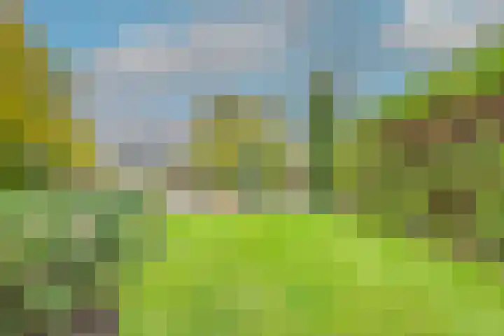 Wilhelminalaan 19 Alkmaar thumbnail 36