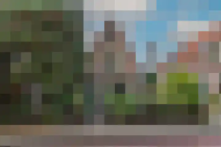 Wilhelminalaan 19 Alkmaar thumbnail 6