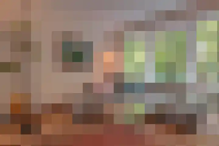 Wilhelminalaan 19 Alkmaar thumbnail 9