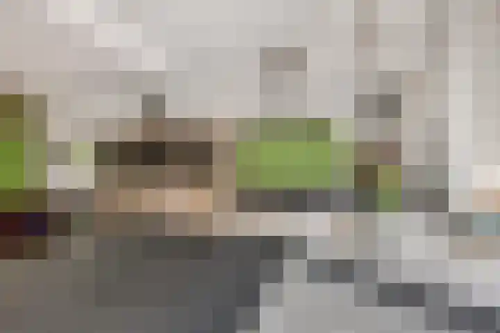 Wilhelminalaan 19 Bennekom thumbnail 15