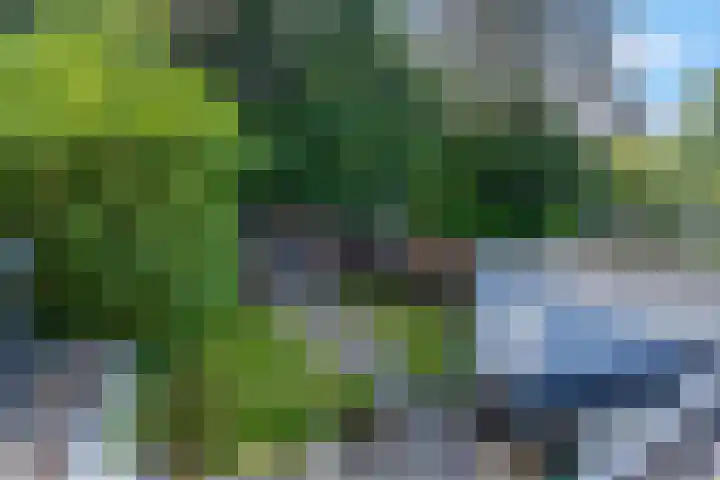Wilhelminalaan 19 Bennekom thumbnail 43