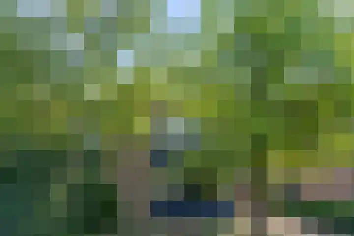 Wilhelminalaan 19 Bennekom thumbnail 57