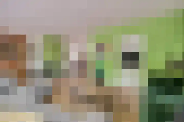 Wilhelminalaan 19 Bennekom thumbnail 7