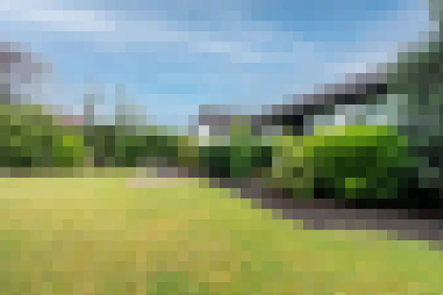 Wilhelminalaan 19 Raamsdonksveer thumbnail 13