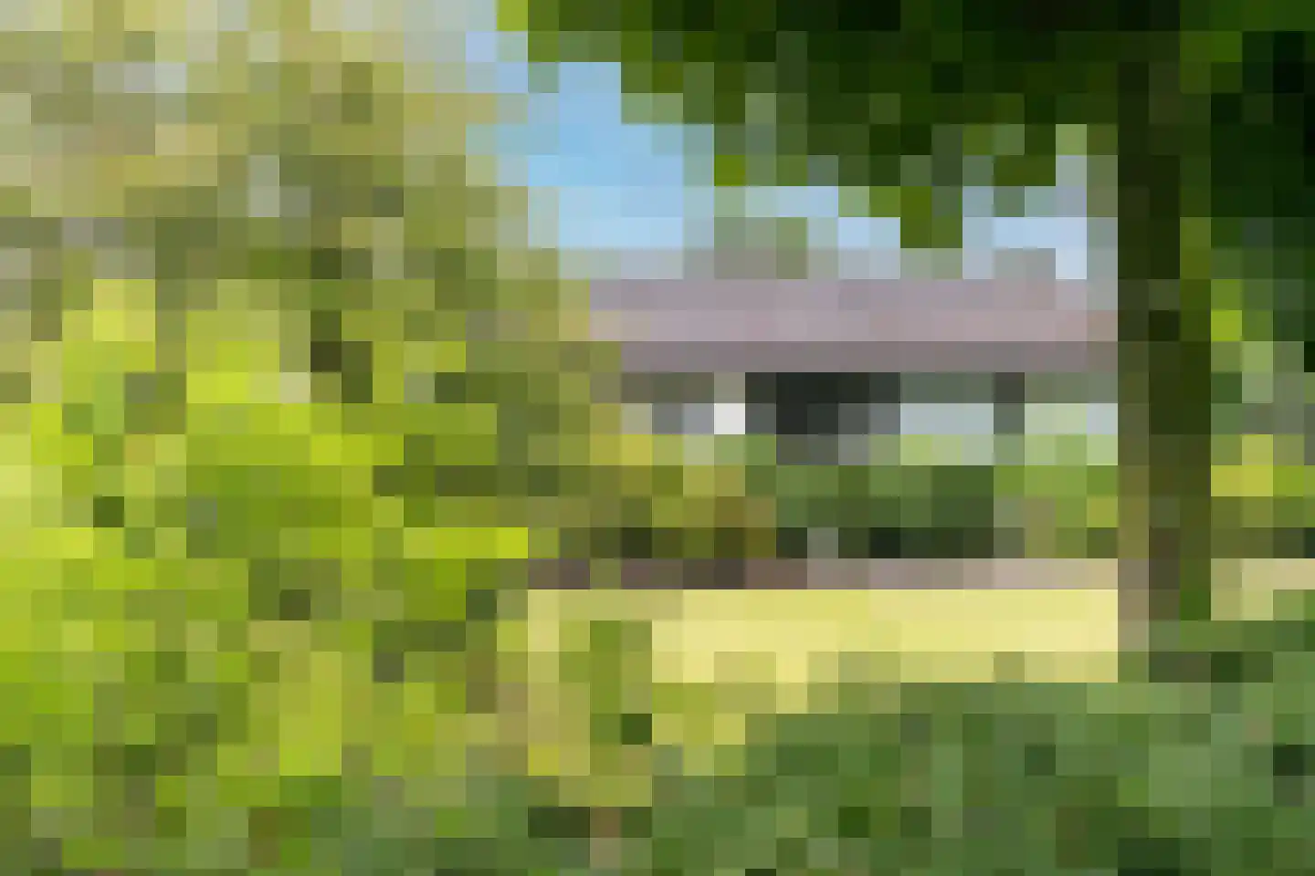 Wilhelminalaan 19 Raamsdonksveer thumbnail 15