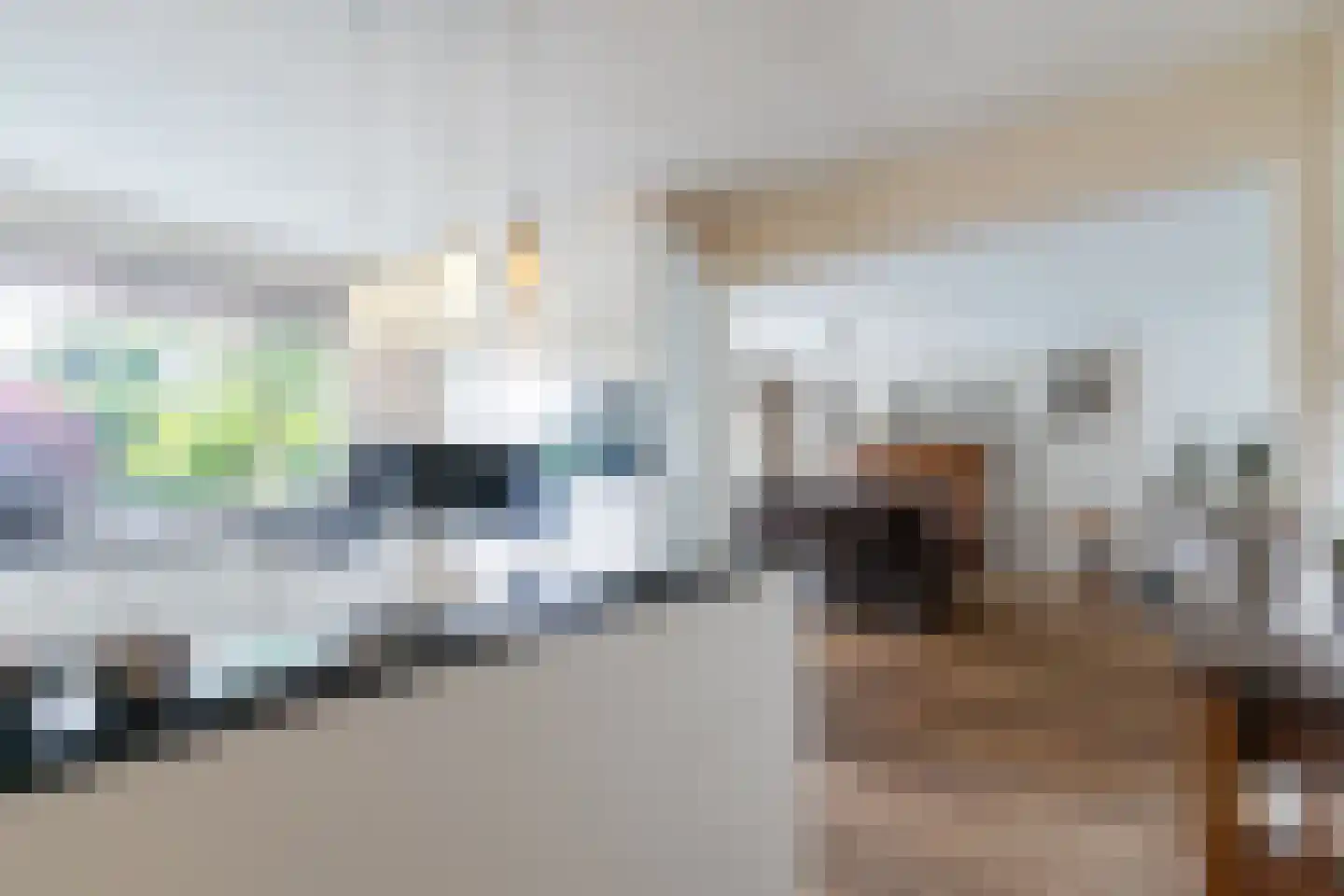 Wilhelminalaan 19 Raamsdonksveer thumbnail 18