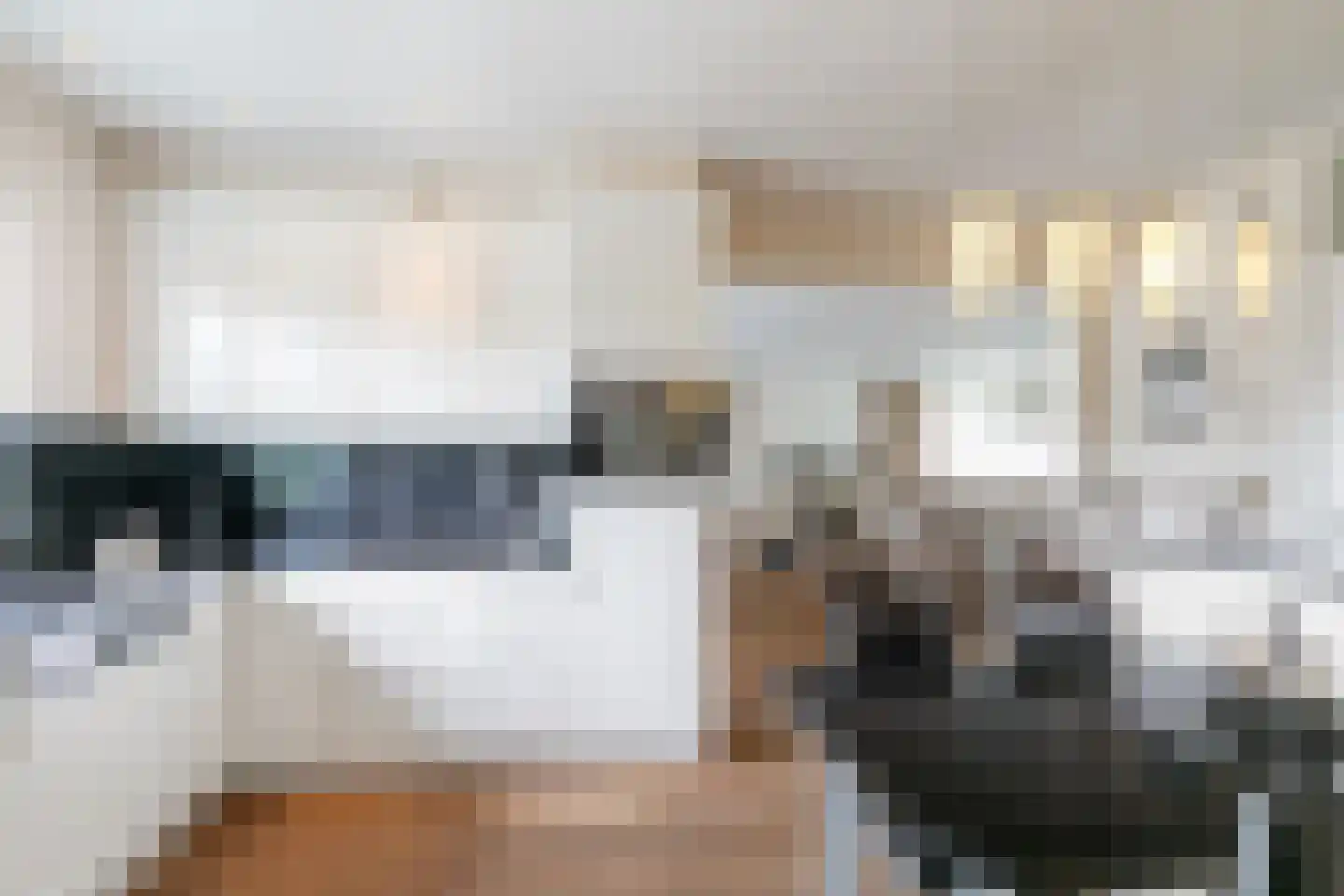 Wilhelminalaan 19 Raamsdonksveer thumbnail 20