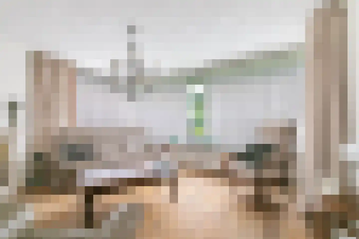 Wilhelminalaan 19 Raamsdonksveer thumbnail 22