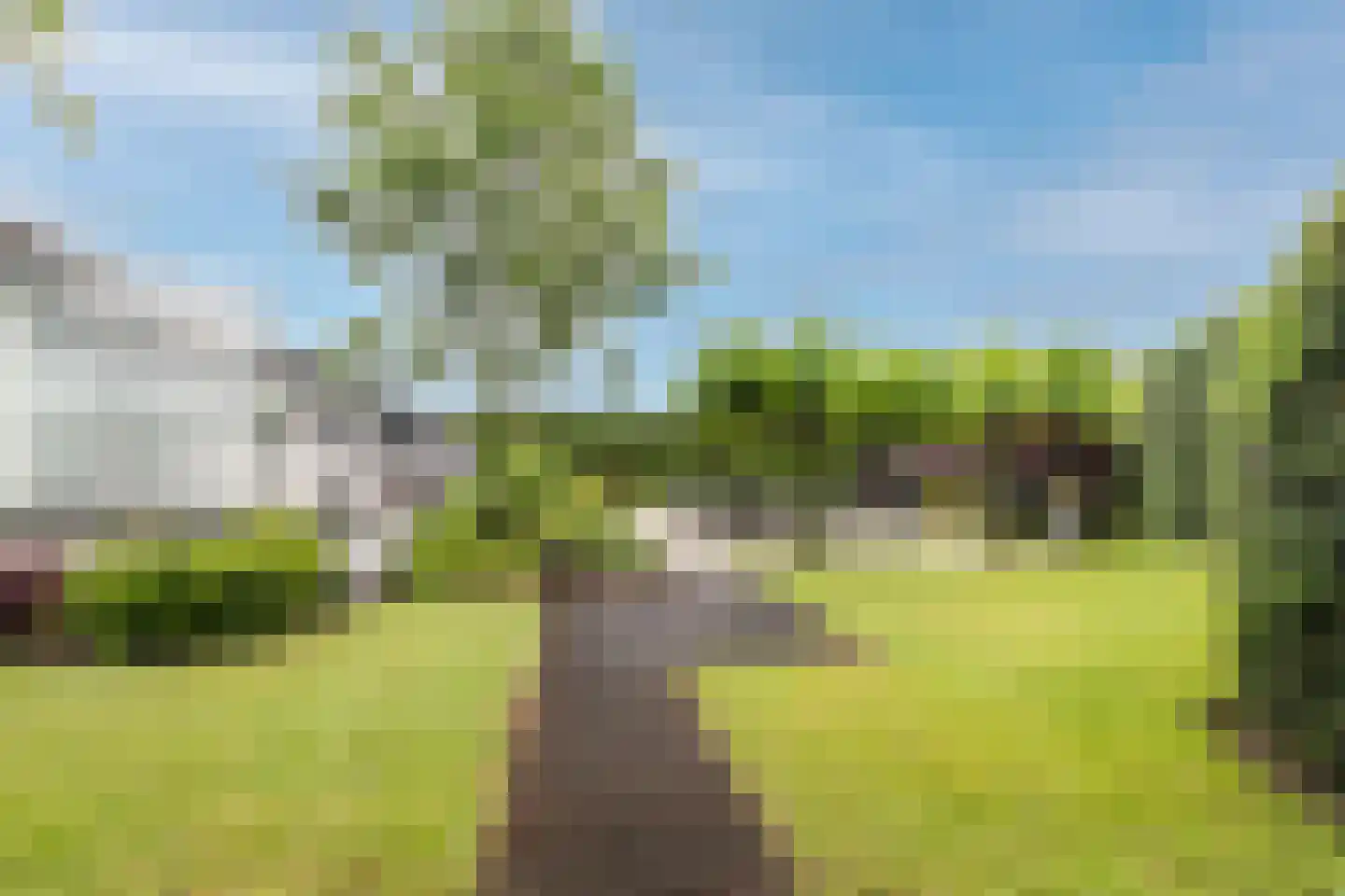 Wilhelminalaan 19 Raamsdonksveer thumbnail 52