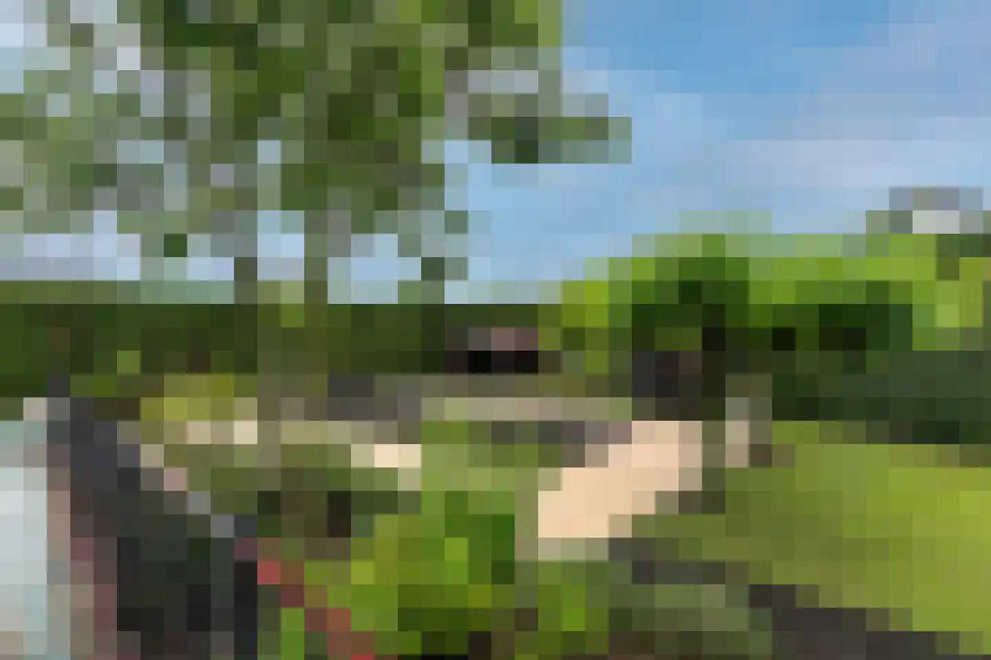 Wilhelminalaan 19 Raamsdonksveer thumbnail 57