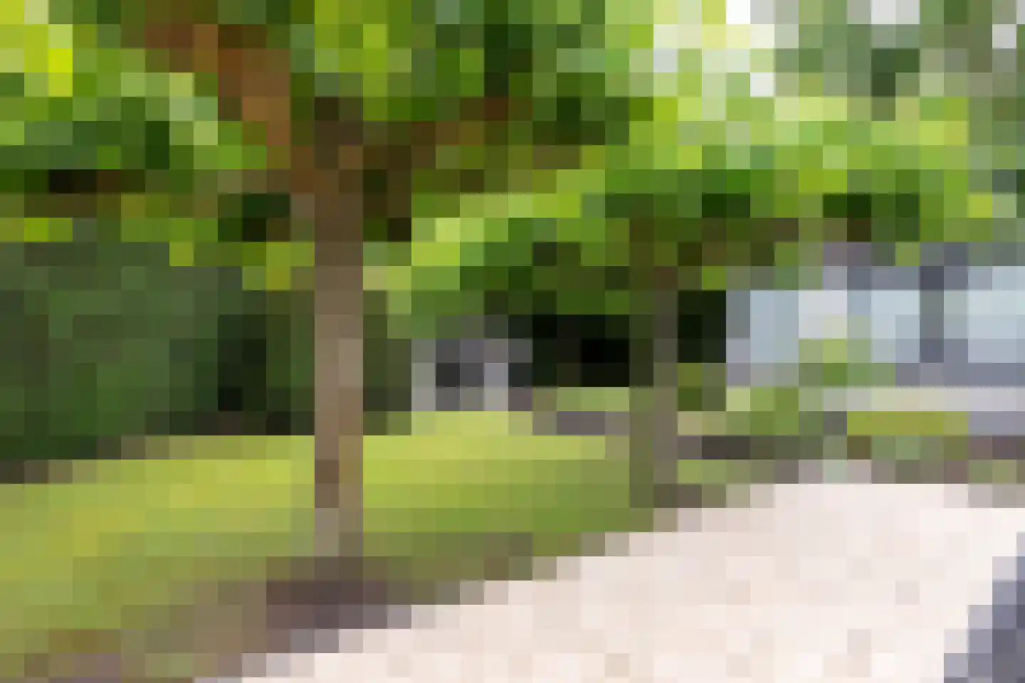 Wilhelminalaan 19 Raamsdonksveer thumbnail 65