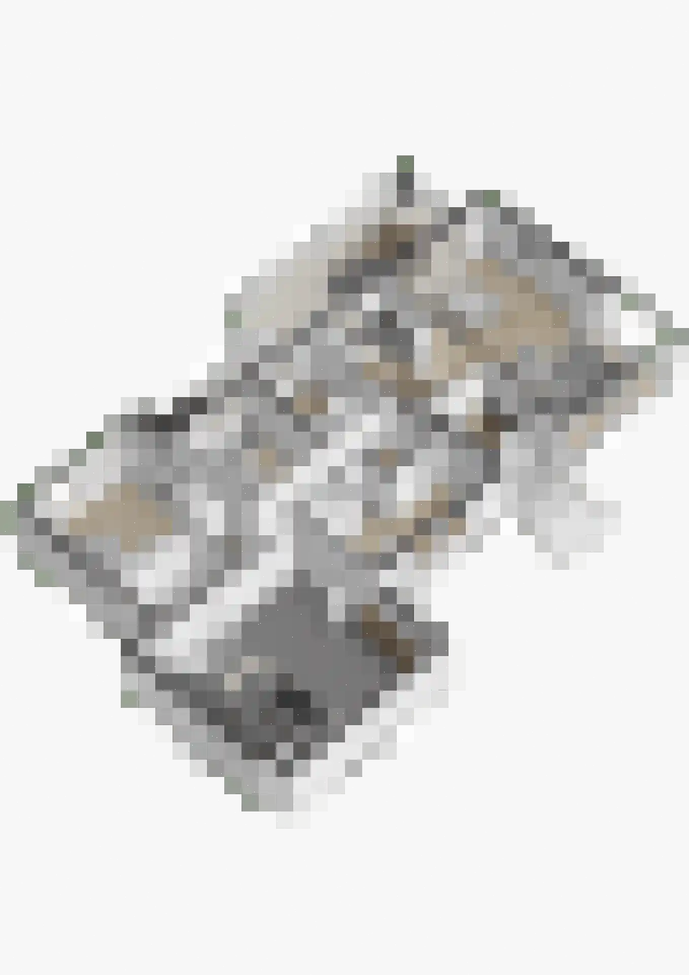 Wilhelminalaan 19 Raamsdonksveer thumbnail 69