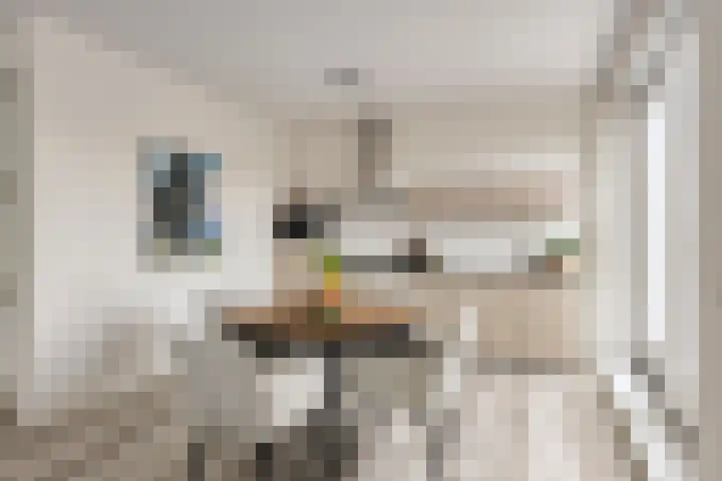 Wilhelminalaan 2 h Son en Breugel thumbnail 11