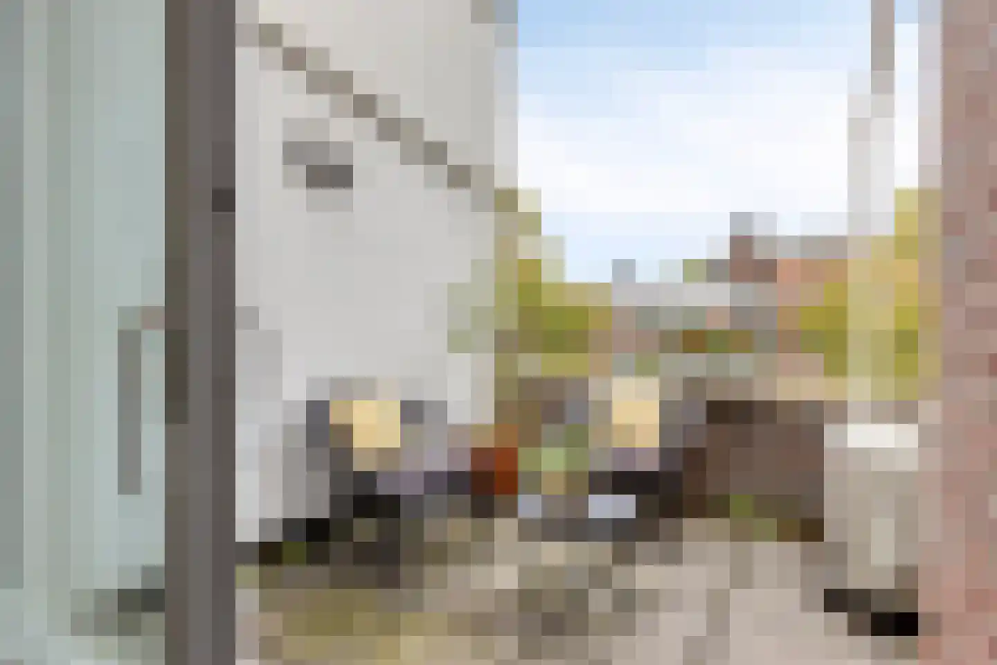 Wilhelminalaan 2 h Son en Breugel thumbnail 15