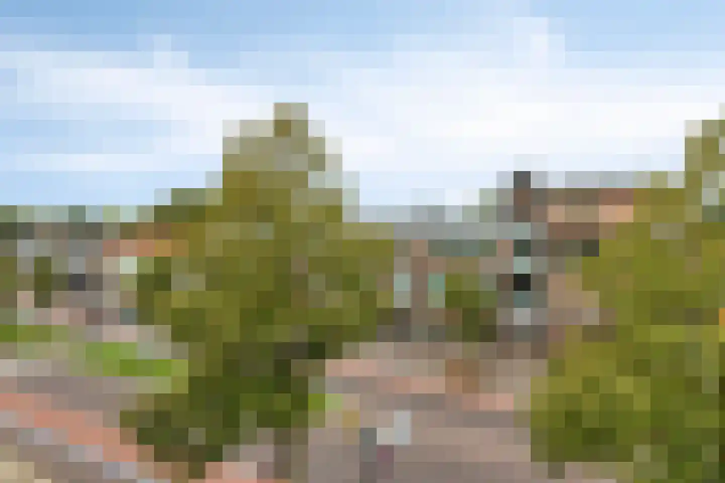 Wilhelminalaan 2 h Son en Breugel thumbnail 17