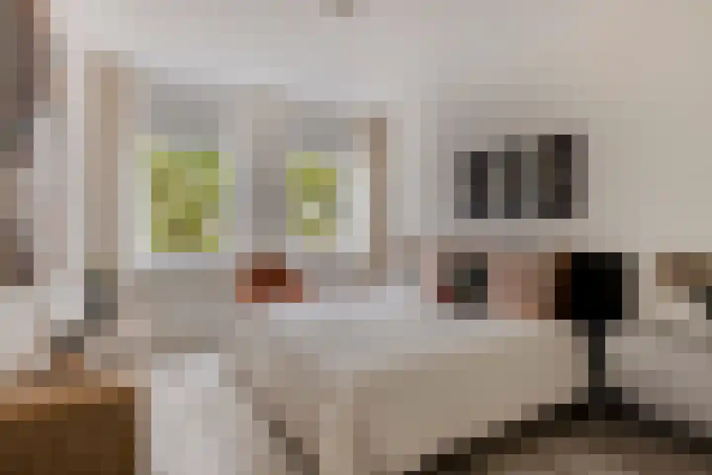 Wilhelminalaan 2 h Son en Breugel thumbnail 20