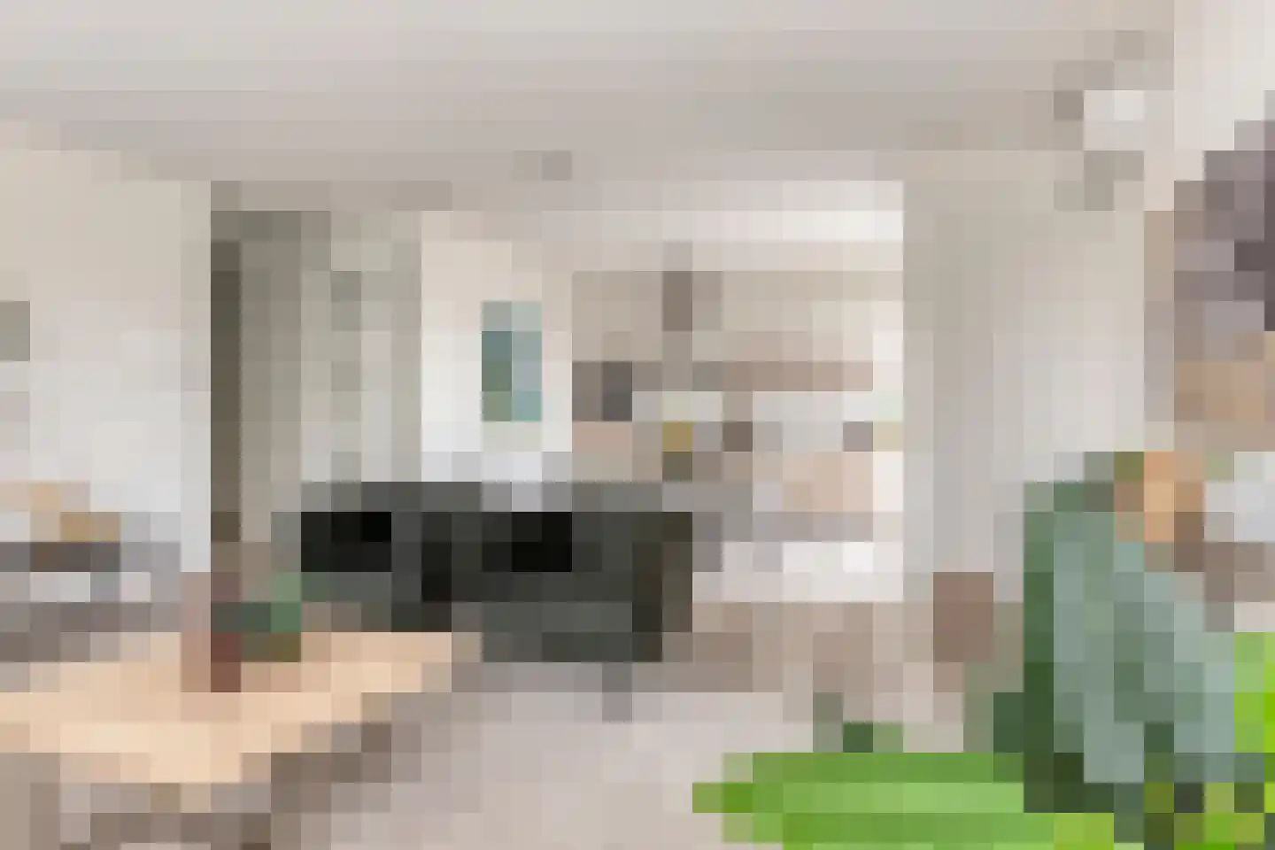 Wilhelminalaan 2 h Son en Breugel thumbnail 7
