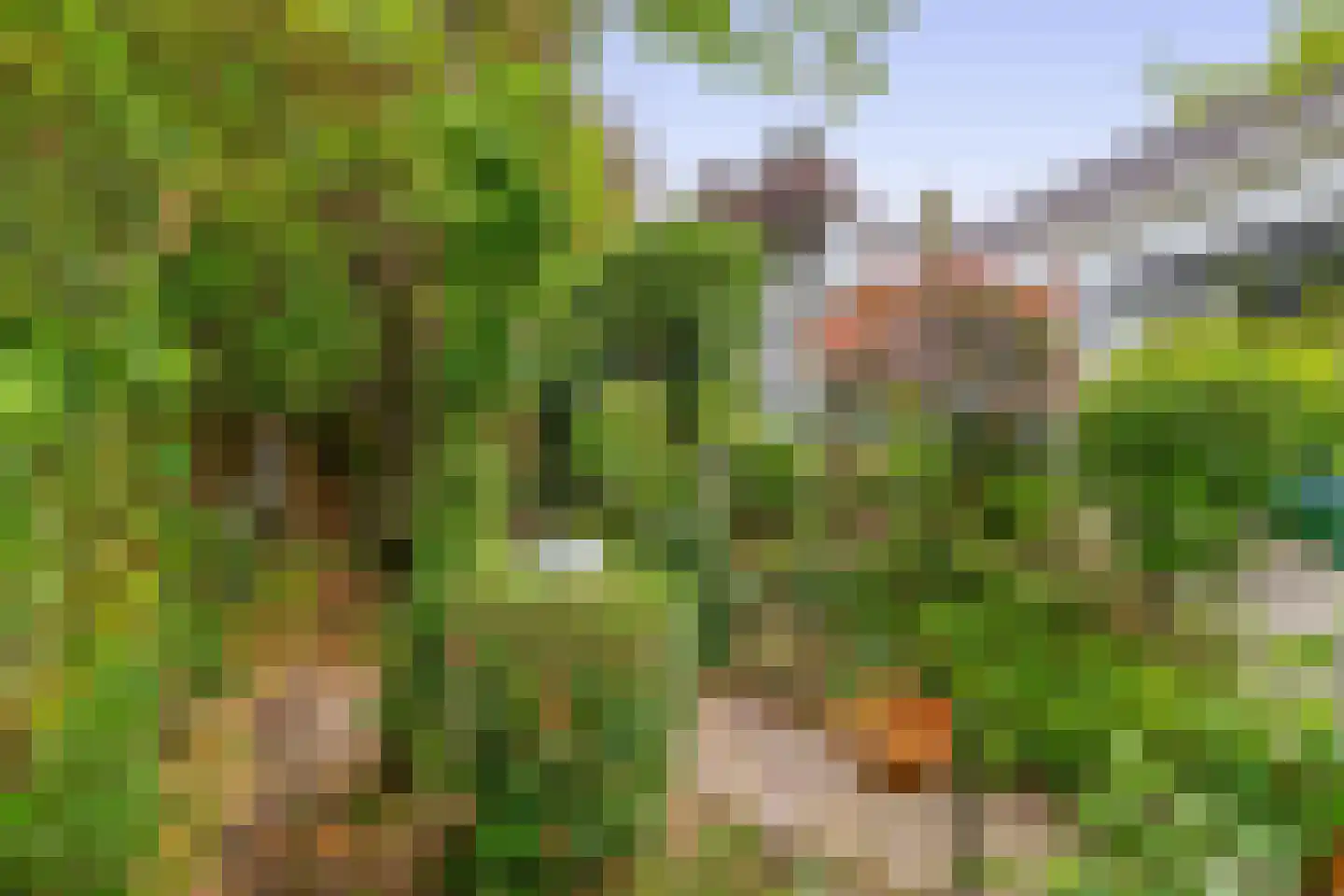 Wilhelminalaan 20 a Reuver thumbnail 24