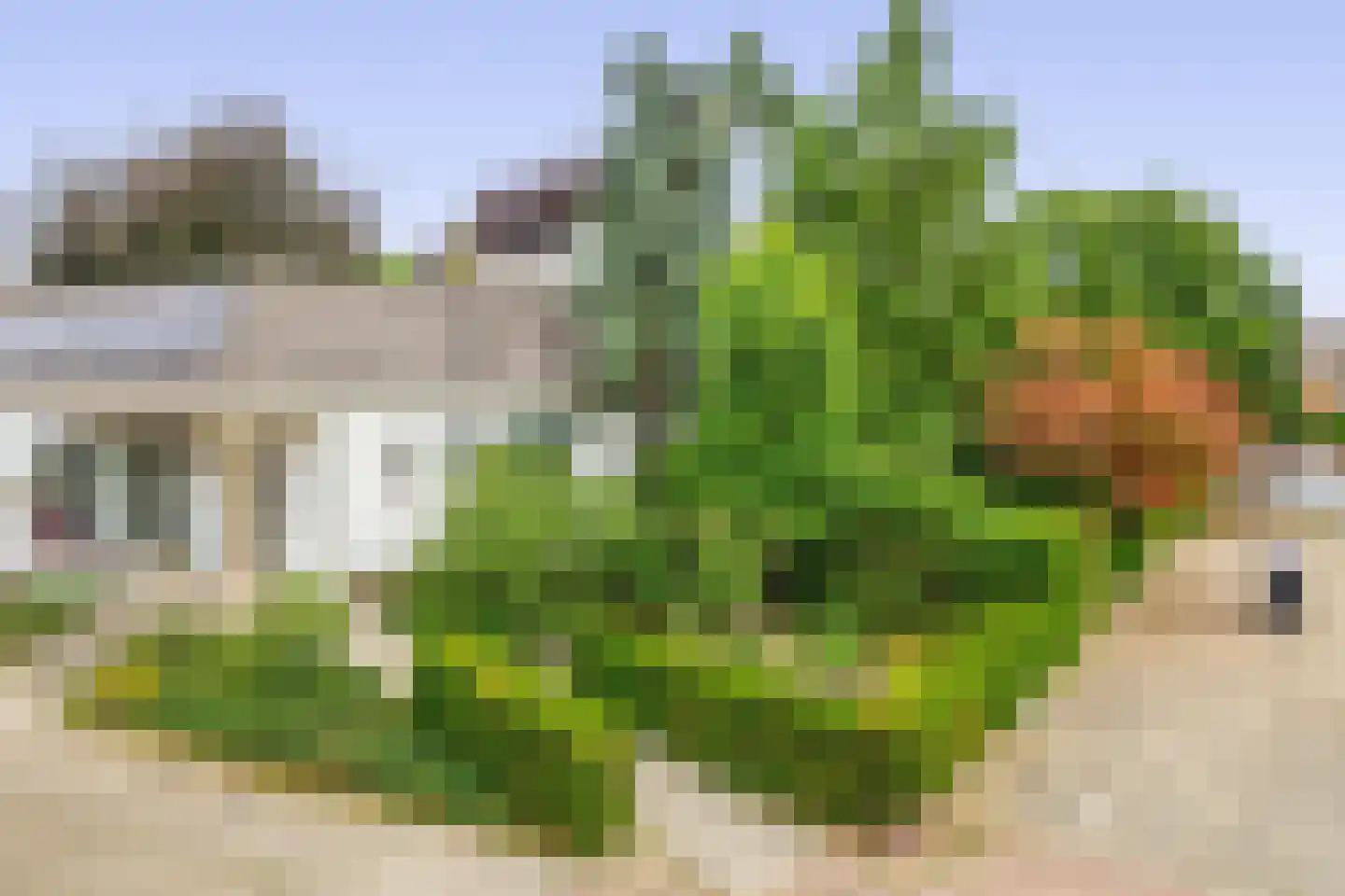 Wilhelminalaan 20 a Reuver thumbnail 28