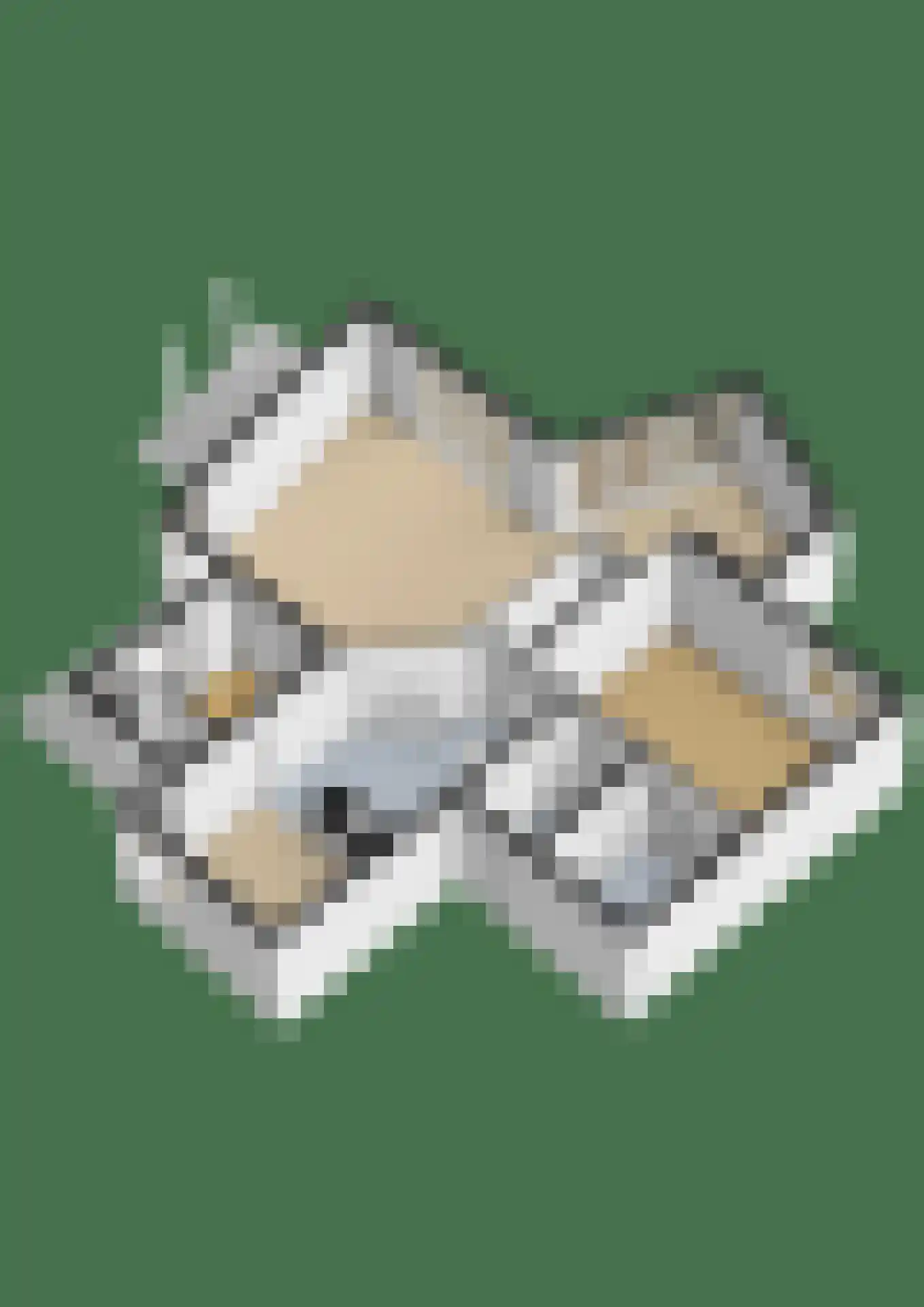 Wilhelminalaan 20 a Reuver thumbnail 32