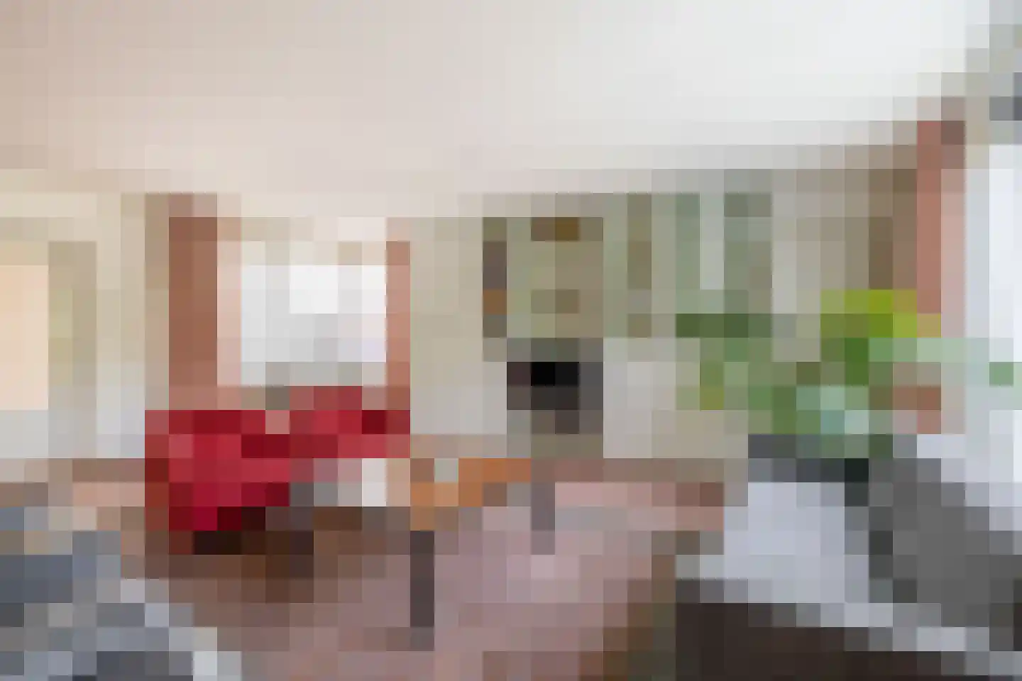 Wilhelminalaan 20 a Reuver thumbnail 6