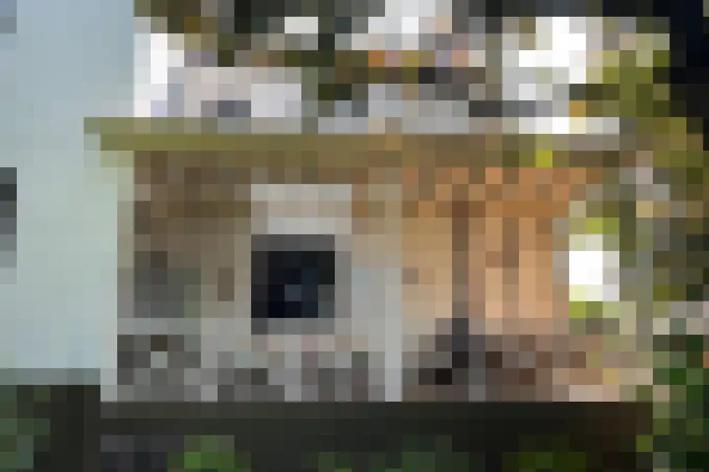 Wilhelminalaan 20 Reuver thumbnail 37