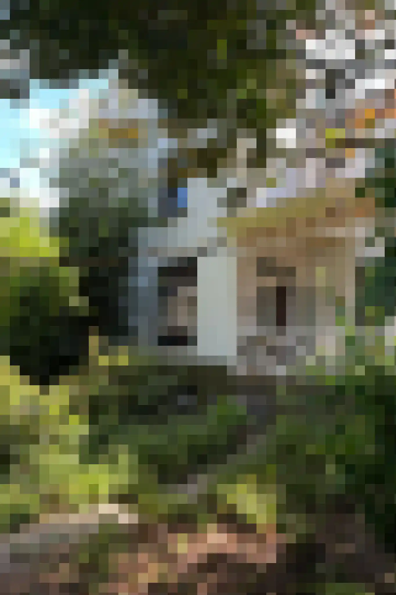Wilhelminalaan 20 Reuver thumbnail 42